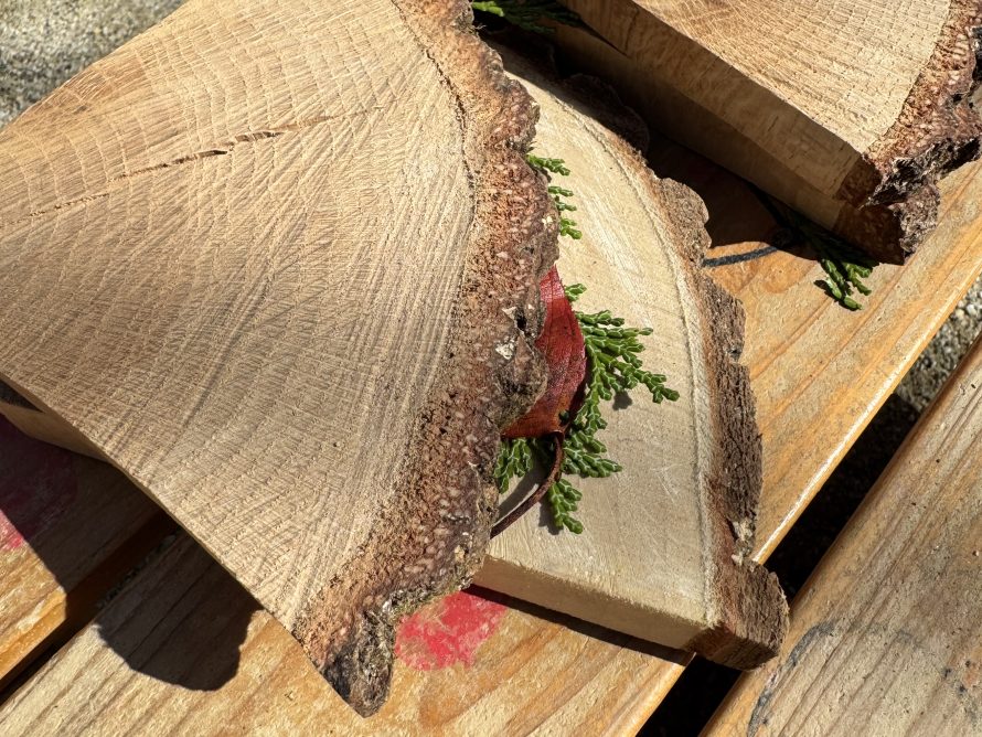 十津川村の自然がやってきた!